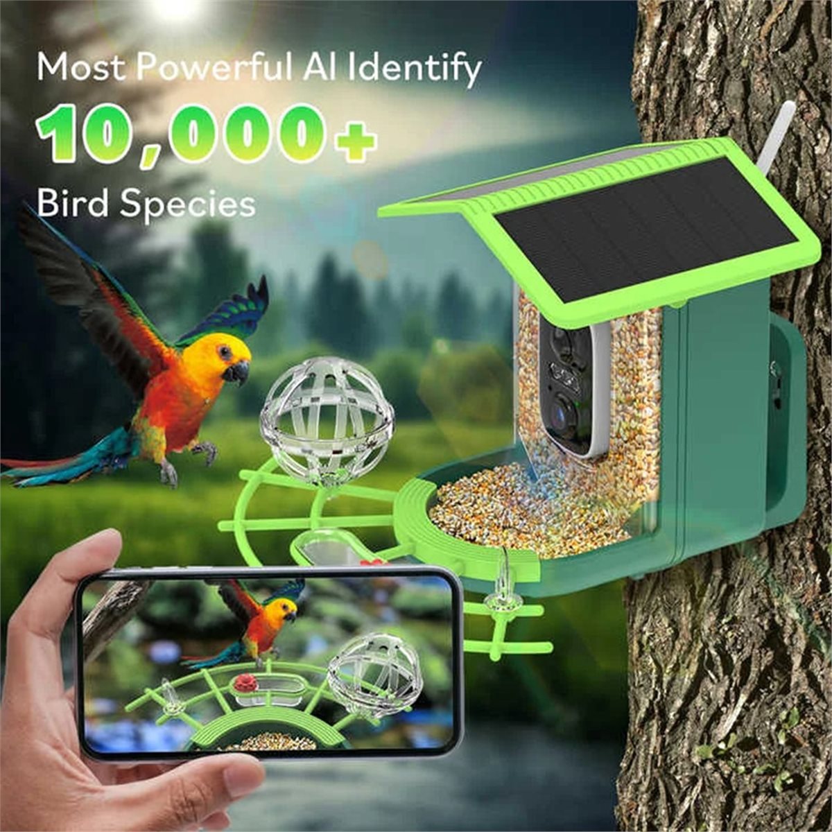 ABPP Smart Bird Feeder Camera  - Power Tools Video 리뷰 및 가격
